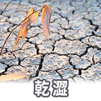 陰道乾澀,陰道雷射治療,更年期陰道雷射