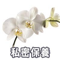 私密處保養,陰道雷射治療,更年期陰道雷射